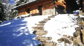 LA VOCE DEL BOSCO Selva di Cadore - Image 4
