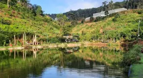Homestay Ngỏ Nhỏ - Image 4