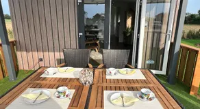 Janes - Image 3