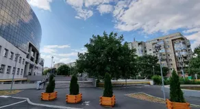 Central Residence - Image 4