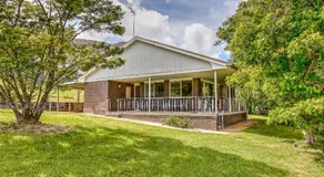 Wandi Bright View - Image 4
