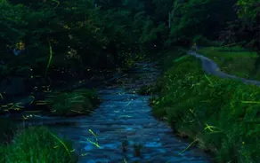 ゲストハウスMizu no Oto - Image 5
