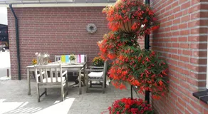 B&B de Rivierduin - Image 2