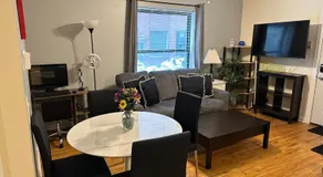 Entire Apt in Heart of Chicago - Image 2