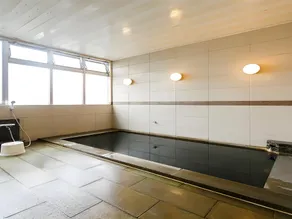 Tokyo Bayplaza Hotel - Image 2