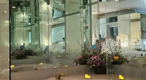 Hotel Oasis Lac St-Louis - Image 2