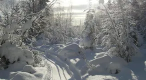Panoramaboende - Image 5