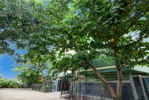 Hotel O Kukatpally S Palace - Image 4
