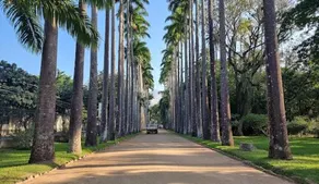 Apartamento Jardim Botânico - Image 2