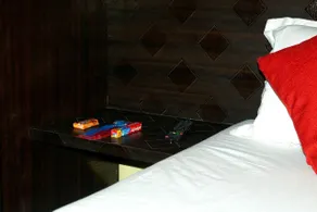 surabhi residency - Image 2