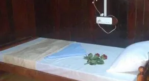 Thriphala ayurveda resort - Image 3