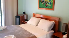 Macaw - Image 2