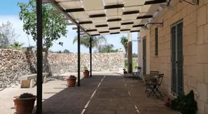 Nicuzza - Image 3