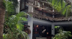 Ecologe - Image 4