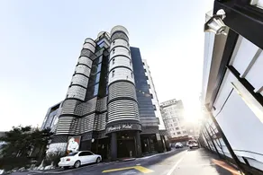 Paju Picasso - Image 4