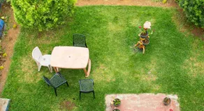 Green Hill - Image 4
