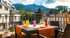 Hotel Villa Boyana - Free Parking - Image 3
