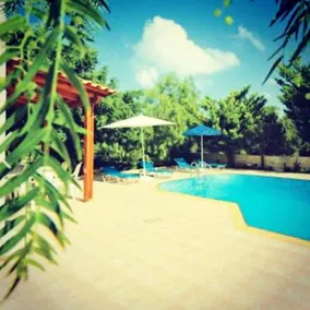 Dive Guest House - Image 4