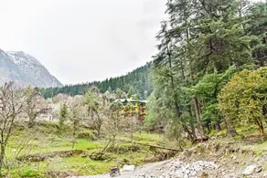 OYO Woodward 2 - Image 5