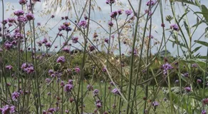 Handley Barn - Image 5