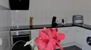 ZV-Scholtz Neuötting Z11 - Image 3