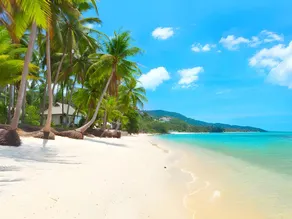 Room Beach Samui - Image 4