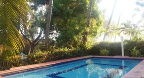 Entre Dos Aguas - Image 4