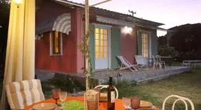 Ailanto - Image 4