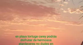 Playa Tortuga Carey - Image 3