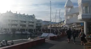 Aloha Paraíso - Image 4