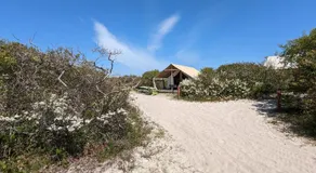 LoveFINS - Image 5