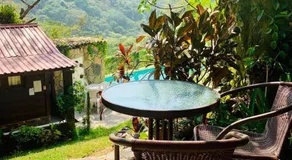 FINCA QUINTA LOS CEDROS - Image 3