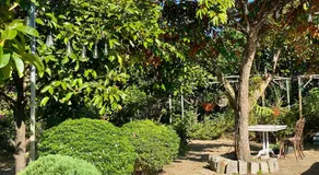 Nhà Trong Sương - Homestay Bảo Lộc - Image 4