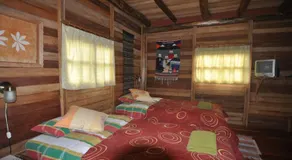Kopal - Image 2