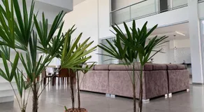 Hospedaria Colinas - Image 4