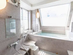 Hotel Shimbashi Sambankan - Image 2