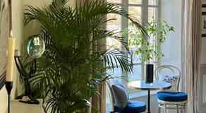 Tres Jolie Maison - Image 5
