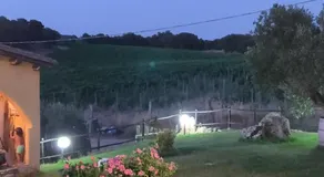 Cantina Perandria - Image 3