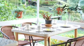 Tribu EcoHostal - Image 2