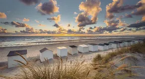The island life Texel - Image 5