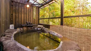 Sujiyu Onsen Kujyu Iyashi no Sato Hotel Dai Kogen - Image 5