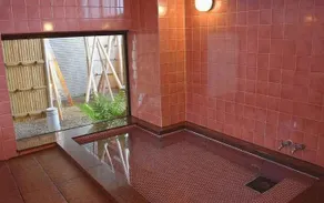 Hotel Akaboshitei - Image 2