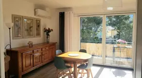 Le mimosa - Image 2