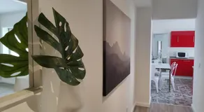 Apartments City Center • Collection by Perpetual Relax - Image 3