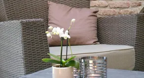 B&B A l'Ombre du Tilleul - Image 3