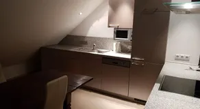 Joanna Apartment - MA Rheinau 5 - Image 3