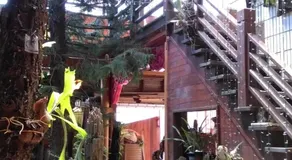 Sea Villa Homestay - Image 5