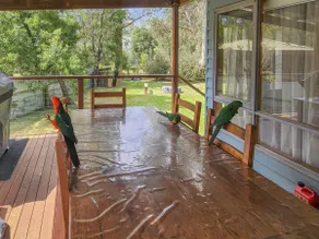 Settlement Lodge - Minutes to the Mt Buller gate - Image 3