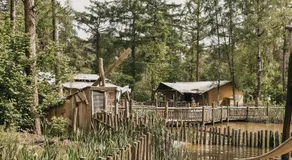 Camping Het Horstmannsbos - Image 4