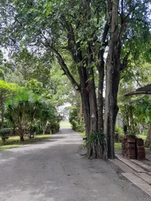 The Garden Resort - Image 3